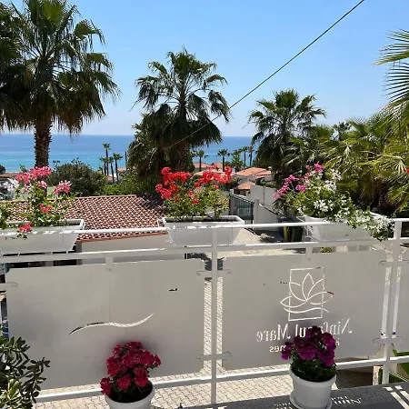 Ninfa Sul Mare Apartments 50 M E T R I Dal Mare Best Breakfast And Free Parking Apartahotel Capo Vaticano