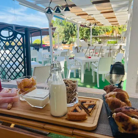 Apart Otel Ninfa Sul Mare Apartments - Piscina Idromassaggio 50 M E T R I Dal Mare Free Parking Capo Vaticano