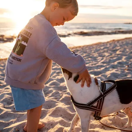 Ninfa Sul Mare Apartments - Piscina Idromassaggio 50 M E T R I Dal Mare Free Parking Apart Otel 4*